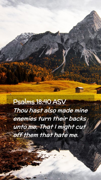 Picture 02 - Psalms 18:40 ASV Mobile Phone Wallpaper - Thou hast also made mine enemies turn their backs - Mobile Bible Verse Wallpaper