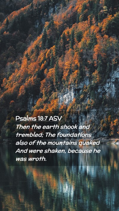 Picture 02 - Psalms 18:7 ASV Mobile Phone Wallpaper - Then the earth shook and trembled; The - Mobile Bible Verse Wallpaper