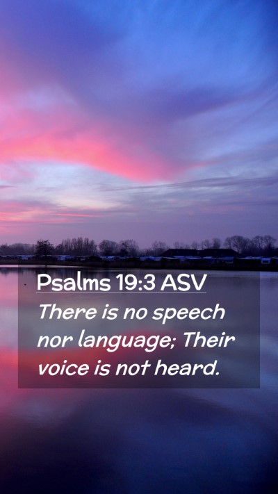 Picture 02 - Psalms 19:3 ASV Mobile Phone Wallpaper - There is no speech nor language; Their voice is - Mobile Bible Verse Wallpaper