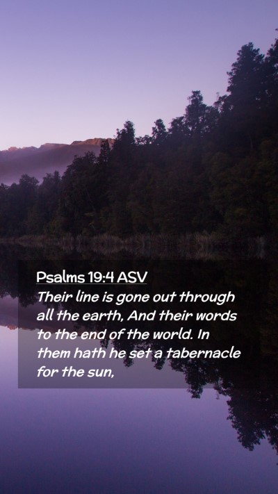 Picture 02 - Psalms 19:4 ASV Mobile Phone Wallpaper - Their line is gone out through all the earth, And - Mobile Bible Verse Wallpaper