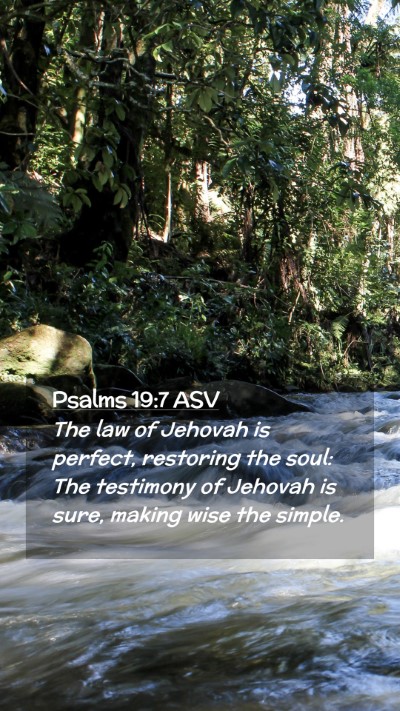 Picture 02 - Psalms 19:7 ASV Mobile Phone Wallpaper - The law of Jehovah is perfect, restoring the - Mobile Bible Verse Wallpaper