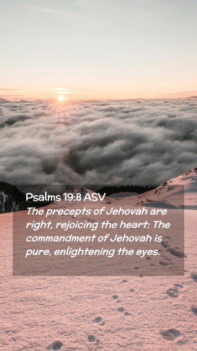 Picture 02 - Psalms 19:8 ASV Mobile Phone Wallpaper - The precepts of Jehovah are right, rejoicing the - Mobile Bible Verse Wallpaper