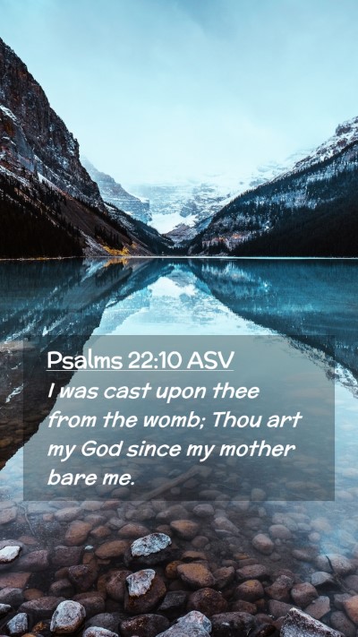 Picture 02 - Psalms 22:10 ASV Mobile Phone Wallpaper - I was cast upon thee from the womb; Thou art my - Mobile Bible Verse Wallpaper