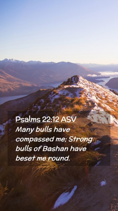 Picture 02 - Psalms 22:12 ASV Mobile Phone Wallpaper - Many bulls have compassed me; Strong bulls of - Mobile Bible Verse Wallpaper