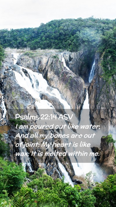 Picture 02 - Psalms 22:14 ASV Mobile Phone Wallpaper - I am poured out like water, And all my bones are - Mobile Bible Verse Wallpaper