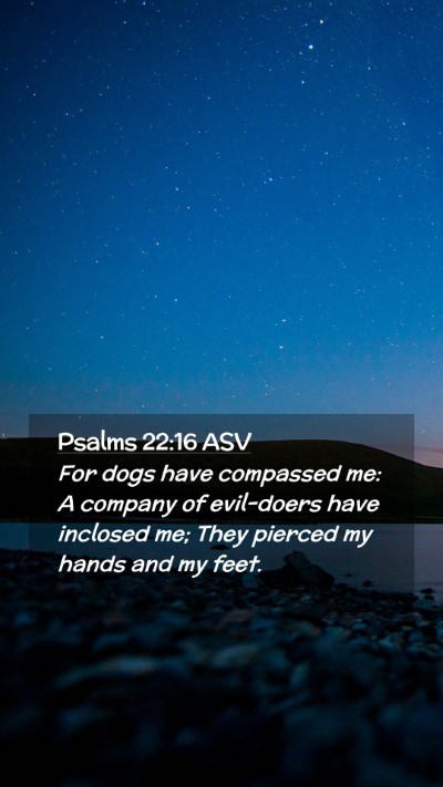 Picture 02 - Psalms 22:16 ASV Mobile Phone Wallpaper - For dogs have compassed me: A company of - Mobile Bible Verse Wallpaper