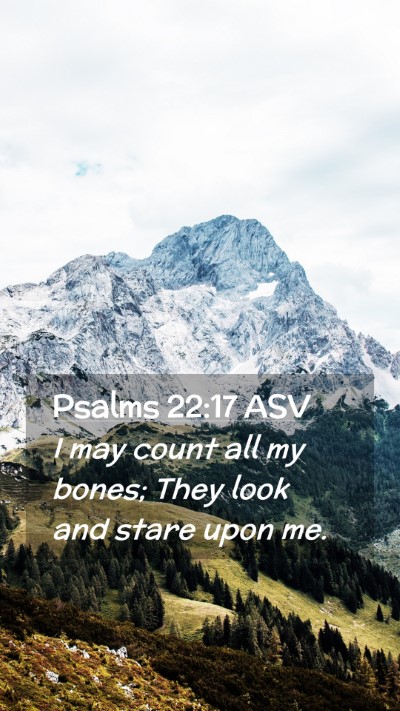 Picture 02 - Psalms 22:17 ASV Mobile Phone Wallpaper - I may count all my bones; They look and stare - Mobile Bible Verse Wallpaper