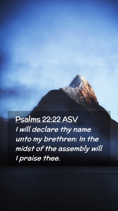 Picture 02 - Psalms 22:22 ASV Mobile Phone Wallpaper - I will declare thy name unto my brethren: In the - Mobile Bible Verse Wallpaper
