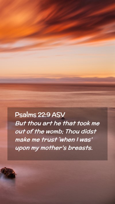 Picture 02 - Psalms 22:9 ASV Mobile Phone Wallpaper - But thou art he that took me out of the womb; - Mobile Bible Verse Wallpaper