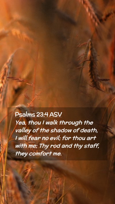 Picture 02 - Psalms 23:4 ASV Mobile Phone Wallpaper - Yea, thou I walk through the valley of the shadow - Mobile Bible Verse Wallpaper