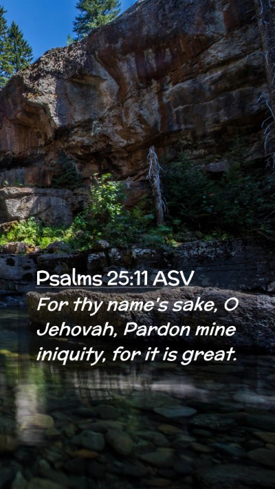 Picture 02 - Psalms 25:11 ASV Mobile Phone Wallpaper - For thy name's sake, O Jehovah, Pardon mine - Mobile Bible Verse Wallpaper
