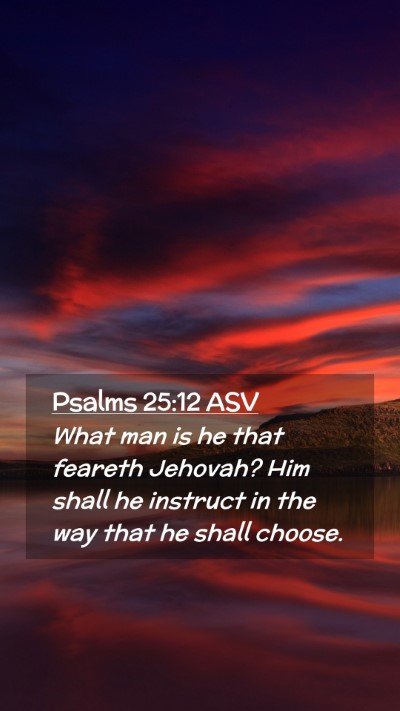 Picture 02 - Psalms 25:12 ASV Mobile Phone Wallpaper - What man is he that feareth Jehovah? Him shall he - Mobile Bible Verse Wallpaper