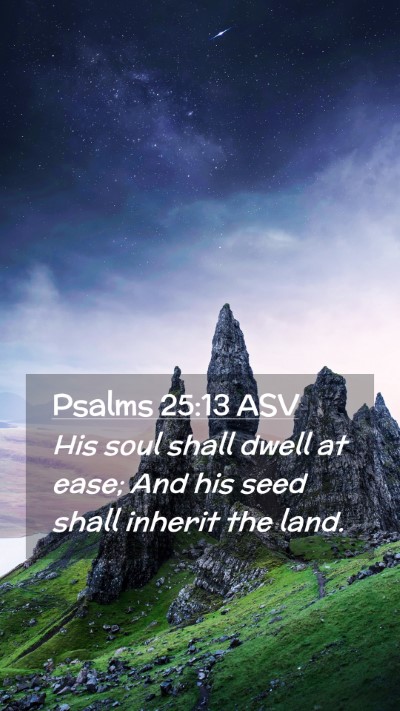Picture 02 - Psalms 25:13 ASV Mobile Phone Wallpaper - His soul shall dwell at ease; And his seed shall - Mobile Bible Verse Wallpaper