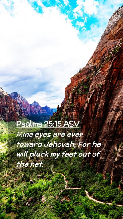 Picture 02 - Psalms 25:15 ASV Mobile Phone Wallpaper - Mine eyes are ever toward Jehovah; For he will - Mobile Bible Verse Wallpaper