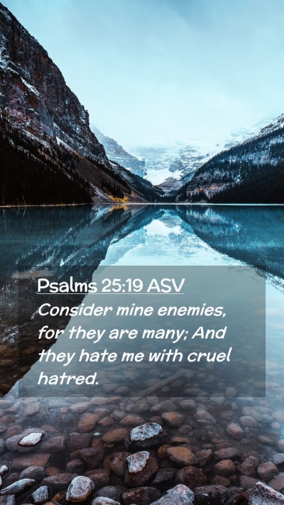 Picture 02 - Psalms 25:19 ASV Mobile Phone Wallpaper - Consider mine enemies, for they are many; And - Mobile Bible Verse Wallpaper