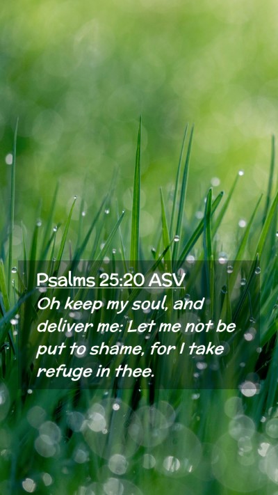 Picture 02 - Psalms 25:20 ASV Mobile Phone Wallpaper - Oh keep my soul, and deliver me: Let me not be - Mobile Bible Verse Wallpaper
