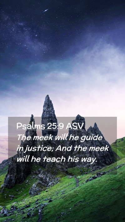 Picture 02 - Psalms 25:9 ASV Mobile Phone Wallpaper - The meek will he guide in justice; And the meek - Mobile Bible Verse Wallpaper