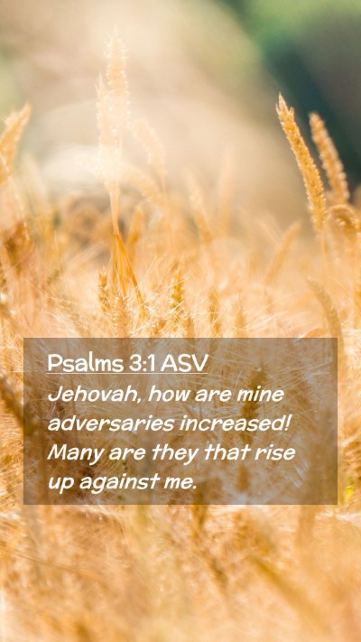 Picture 02 - Psalms 3:1 ASV Mobile Phone Wallpaper - Jehovah, how are mine adversaries increased! Many - Mobile Bible Verse Wallpaper