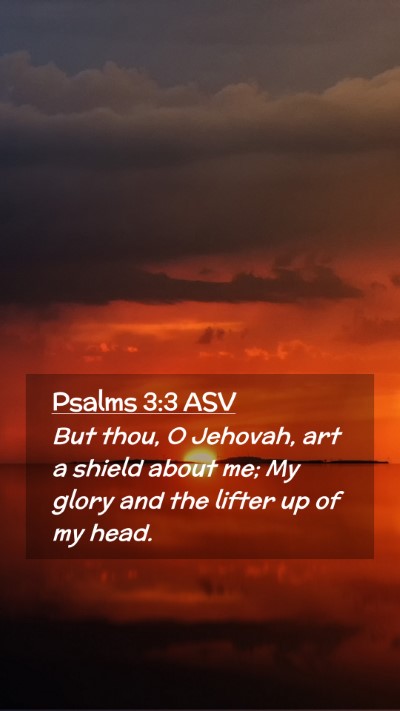 Picture 02 - Psalms 3:3 ASV Mobile Phone Wallpaper - But thou, O Jehovah, art a shield about me; My - Mobile Bible Verse Wallpaper