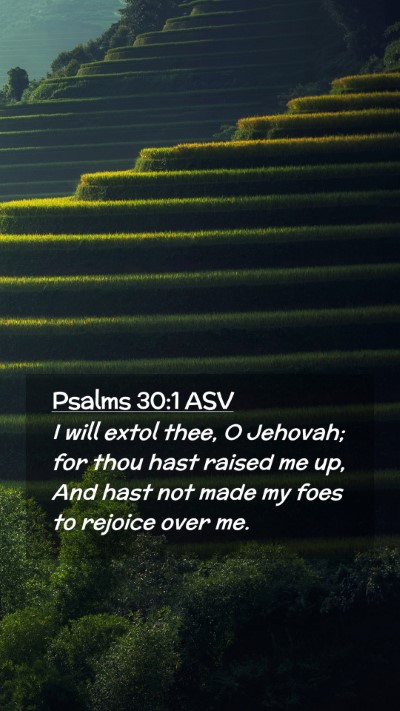 Picture 02 - Psalms 30:1 ASV Mobile Phone Wallpaper - I will extol thee, O Jehovah; for thou hast - Mobile Bible Verse Wallpaper