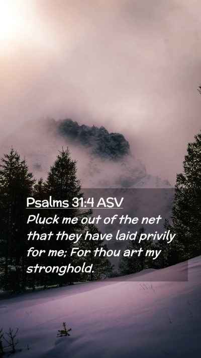 Picture 02 - Psalms 31:4 ASV Mobile Phone Wallpaper - Pluck me out of the net that they have laid - Mobile Bible Verse Wallpaper