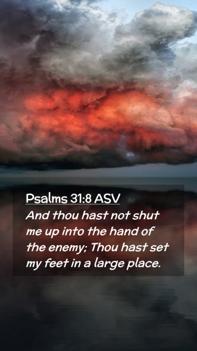 Picture 02 - Psalms 31:8 ASV Mobile Phone Wallpaper - And thou hast not shut me up into the hand of the - Mobile Bible Verse Wallpaper