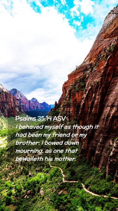 Picture 02 - Psalms 35:14 ASV Mobile Phone Wallpaper - I behaved myself as though it had been my friend - Mobile Bible Verse Wallpaper