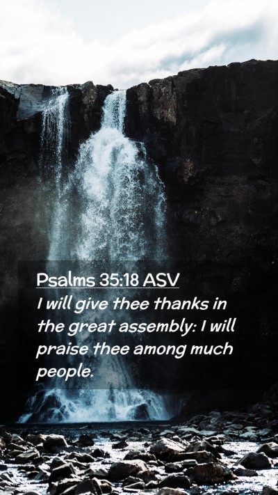 Picture 02 - Psalms 35:18 ASV Mobile Phone Wallpaper - I will give thee thanks in the great assembly: I - Mobile Bible Verse Wallpaper