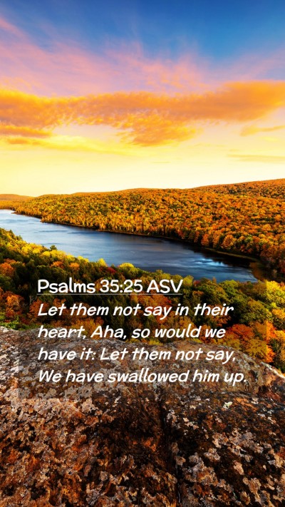 Picture 02 - Psalms 35:25 ASV Mobile Phone Wallpaper - Let them not say in their heart, Aha, so would we - Mobile Bible Verse Wallpaper