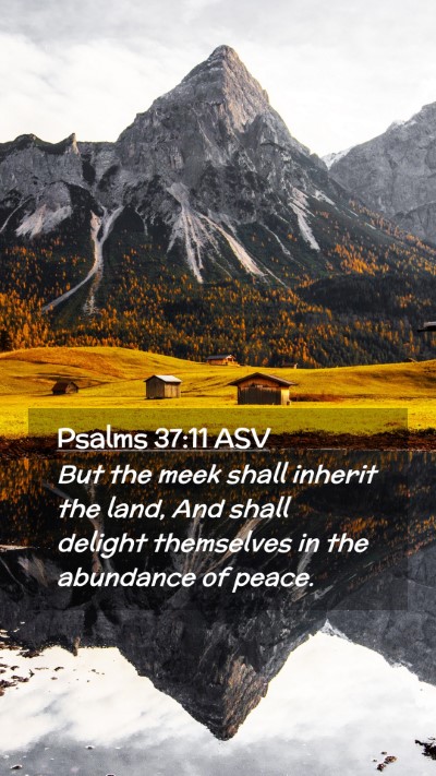 Picture 02 - Psalms 37:11 ASV Mobile Phone Wallpaper - But the meek shall inherit the land, And shall - Mobile Bible Verse Wallpaper