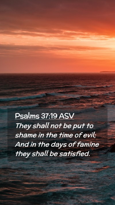 Picture 02 - Psalms 37:19 ASV Mobile Phone Wallpaper - They shall not be put to shame in the time of - Mobile Bible Verse Wallpaper