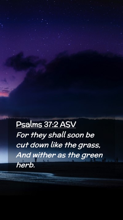 Picture 02 - Psalms 37:2 ASV Mobile Phone Wallpaper - For they shall soon be cut down like the grass, - Mobile Bible Verse Wallpaper
