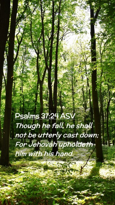 Picture 02 - Psalms 37:24 ASV Mobile Phone Wallpaper - Though he fall, he shall not be utterly cast - Mobile Bible Verse Wallpaper