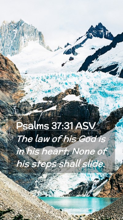 Picture 02 - Psalms 37:31 ASV Mobile Phone Wallpaper - The law of his God is in his heart; None of his - Mobile Bible Verse Wallpaper