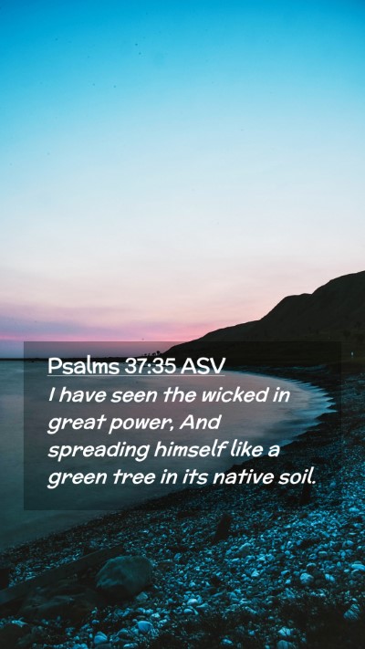 Picture 02 - Psalms 37:35 ASV Mobile Phone Wallpaper - I have seen the wicked in great power, And - Mobile Bible Verse Wallpaper