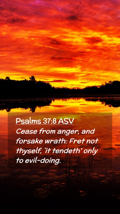 Picture 02 - Psalms 37:8 ASV Mobile Phone Wallpaper - Cease from anger, and forsake wrath: Fret not - Mobile Bible Verse Wallpaper