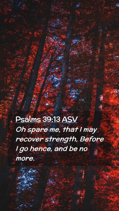 Picture 02 - Psalms 39:13 ASV Mobile Phone Wallpaper - Oh spare me, that I may recover strength, Before - Mobile Bible Verse Wallpaper
