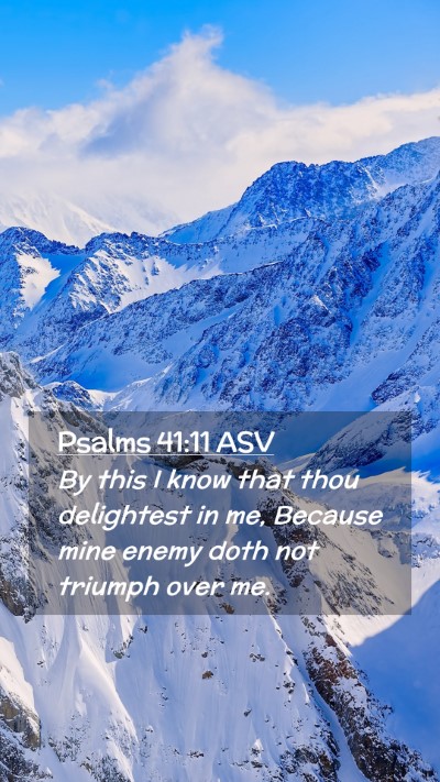 Picture 02 - Psalms 41:11 ASV Mobile Phone Wallpaper - By this I know that thou delightest in me, - Mobile Bible Verse Wallpaper