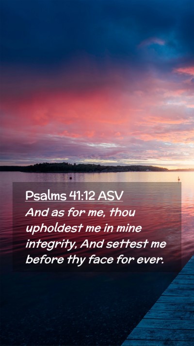 Picture 02 - Psalms 41:12 ASV Mobile Phone Wallpaper - And as for me, thou upholdest me in mine - Mobile Bible Verse Wallpaper
