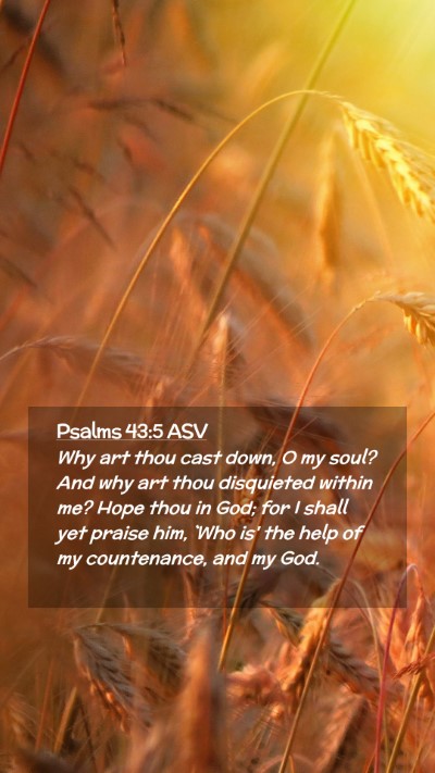 Picture 02 - Psalms 43:5 ASV Mobile Phone Wallpaper - Why art thou cast down, O my soul? And why art - Mobile Bible Verse Wallpaper