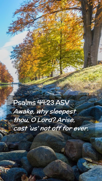 Picture 02 - Psalms 44:23 ASV Mobile Phone Wallpaper - Awake, why sleepest thou, O Lord? Arise, cast - Mobile Bible Verse Wallpaper