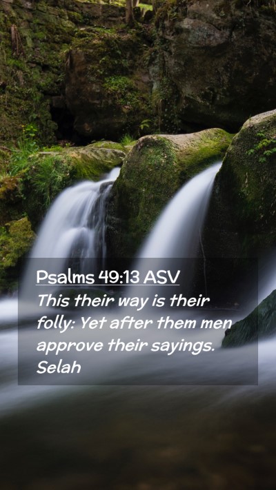 Picture 02 - Psalms 49:13 ASV Mobile Phone Wallpaper - This their way is their folly: Yet after them men - Mobile Bible Verse Wallpaper