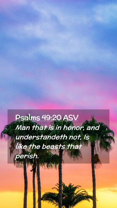 Picture 02 - Psalms 49:20 ASV Mobile Phone Wallpaper - Man that is in honor, and understandeth not, Is - Mobile Bible Verse Wallpaper