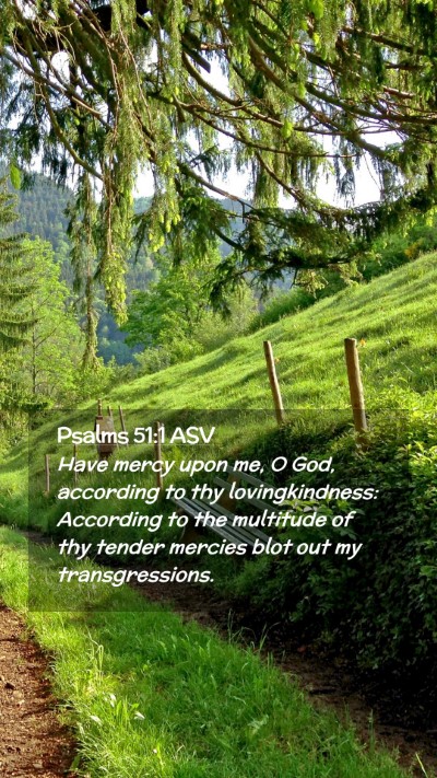 Picture 02 - Psalms 51:1 ASV Mobile Phone Wallpaper - Have mercy upon me, O God, according to thy - Mobile Bible Verse Wallpaper