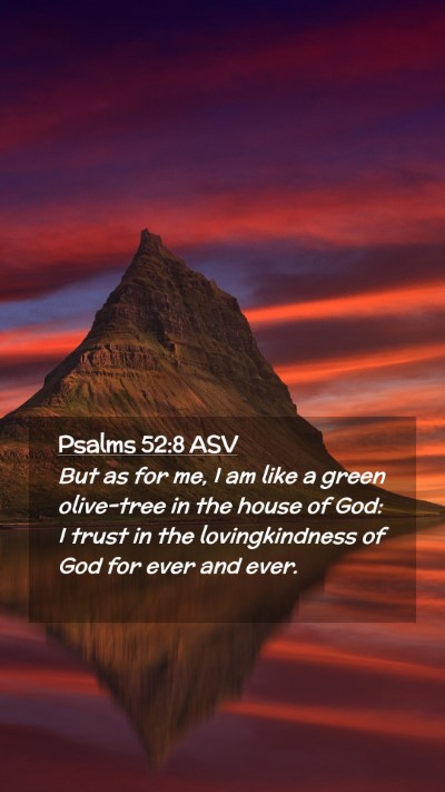 Picture 02 - Psalms 52:8 ASV Mobile Phone Wallpaper - But as for me, I am like a green olive-tree in - Mobile Bible Verse Wallpaper