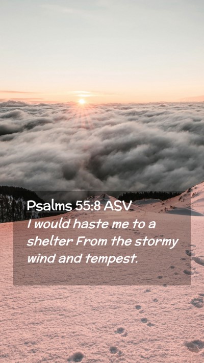 Picture 02 - Psalms 55:8 ASV Mobile Phone Wallpaper - I would haste me to a shelter From the stormy - Mobile Bible Verse Wallpaper