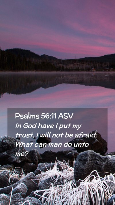 Picture 02 - Psalms 56:11 ASV Mobile Phone Wallpaper - In God have I put my trust, I will not be afraid; - Mobile Bible Verse Wallpaper
