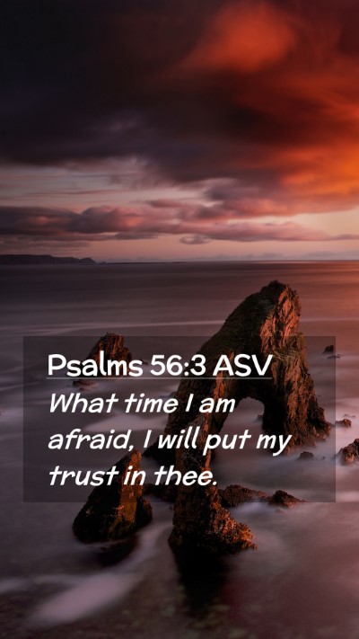 Picture 02 - Psalms 56:3 ASV Mobile Phone Wallpaper - What time I am afraid, I will put my trust in - Mobile Bible Verse Wallpaper