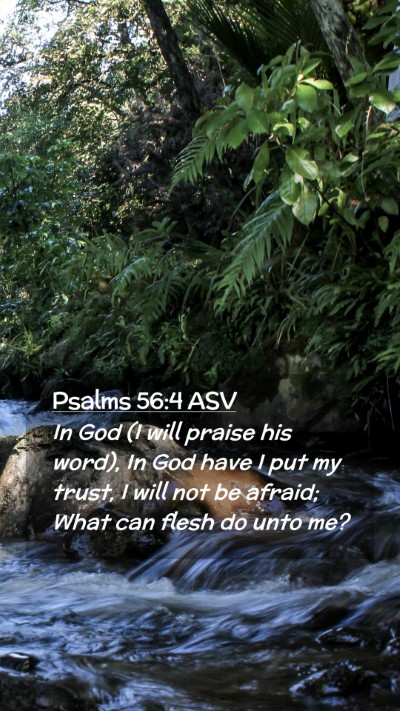 Picture 02 - Psalms 56:4 ASV Mobile Phone Wallpaper - In God (I will praise his word), In God have I - Mobile Bible Verse Wallpaper