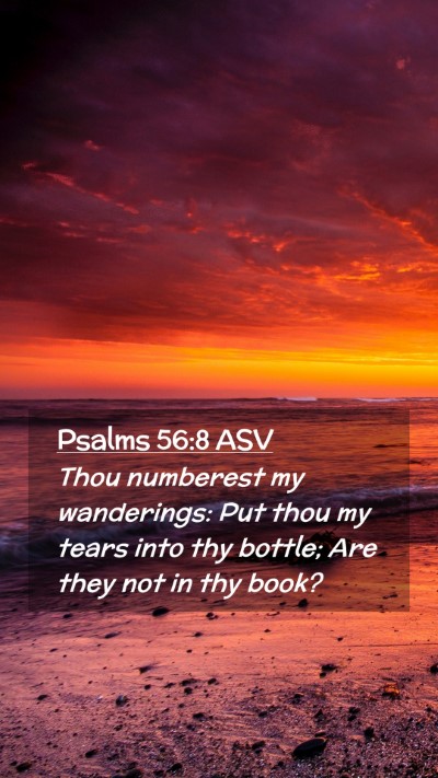 Picture 02 - Psalms 56:8 ASV Mobile Phone Wallpaper - Thou numberest my wanderings: Put thou my tears - Mobile Bible Verse Wallpaper